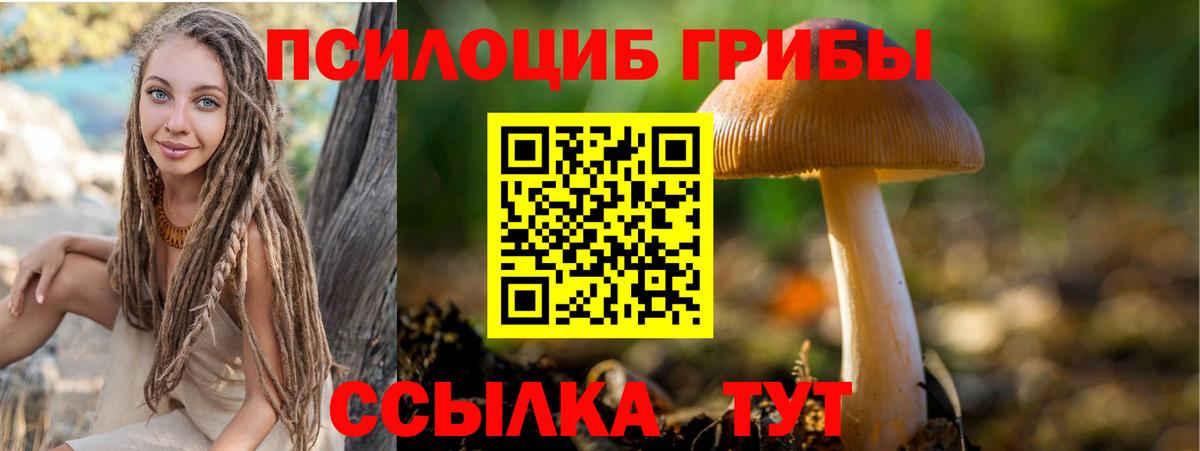 Псилоцибиновые грибы Magic Shrooms Магнитогорск